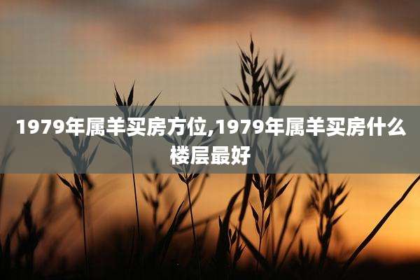 1979年属羊买房方位,1979年属羊买房什么楼层最好