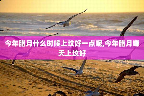 今年腊月什么时候上坟好一点呢,今年腊月哪天上坟好
