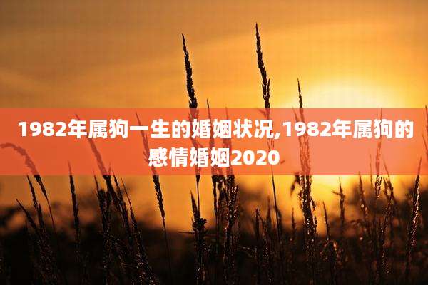 1982年属狗一生的婚姻状况,1982年属狗的感情婚姻2020