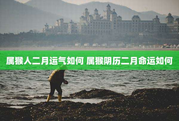 属猴人二月运气如何 属猴阴历二月命运如何