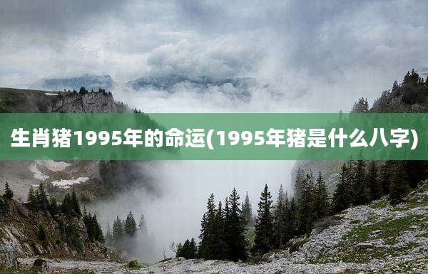 生肖猪1995年的命运(1995年猪是什么八字)