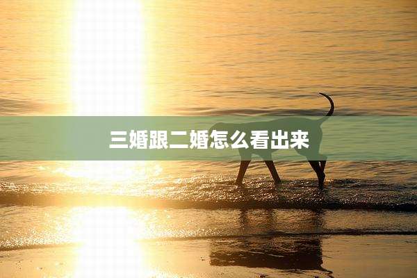 三婚跟二婚怎么看出来
