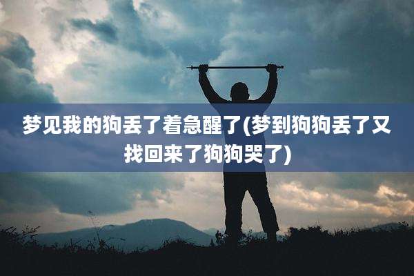 梦见我的狗丢了着急醒了(梦到狗狗丢了又找回来了狗狗哭了)
