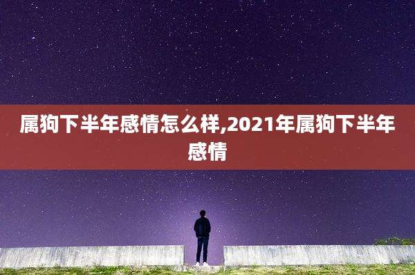 属狗下半年感情怎么样,2021年属狗下半年感情