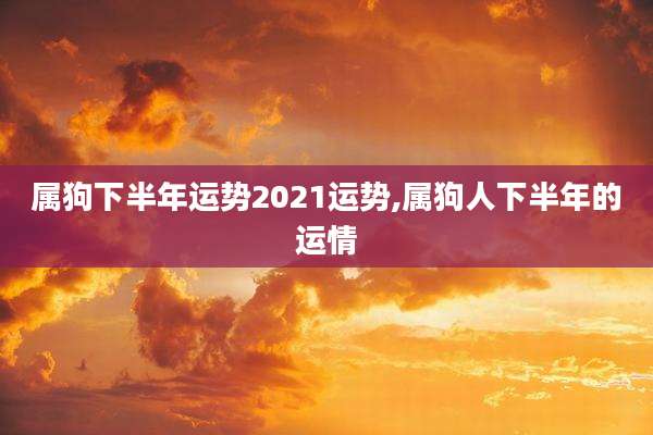属狗下半年运势2021运势,属狗人下半年的运情