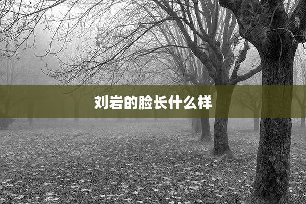 刘岩的脸长什么样