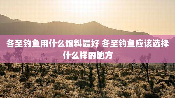 冬至钓鱼用什么饵料最好 冬至钓鱼应该选择什么样的地方