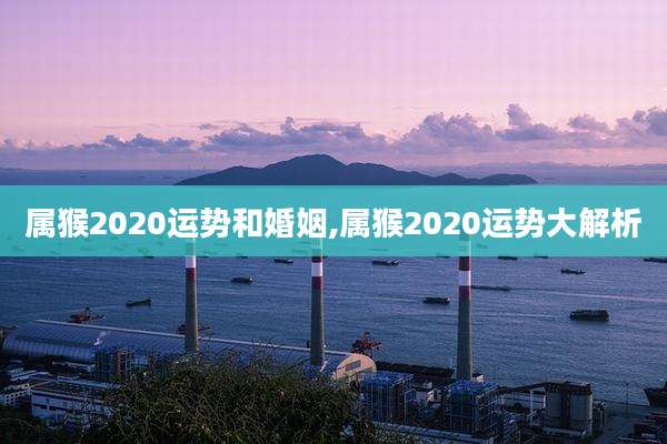 属猴2020运势和婚姻,属猴2020运势大解析