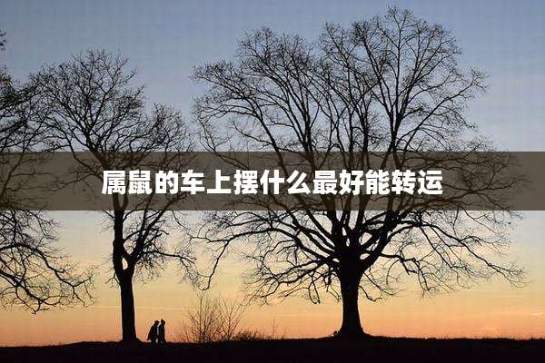 属鼠的车上摆什么最好能转运