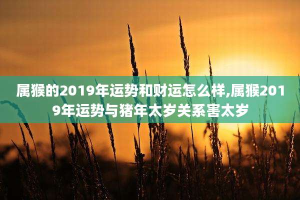 属猴的2019年运势和财运怎么样,属猴2019年运势与猪年太岁关系害太岁
