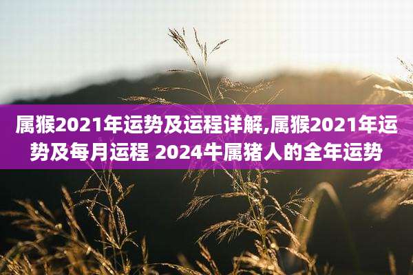 属猴2021年运势及运程详解,属猴2021年运势及每月运程 2024牛属猪人的全年运势