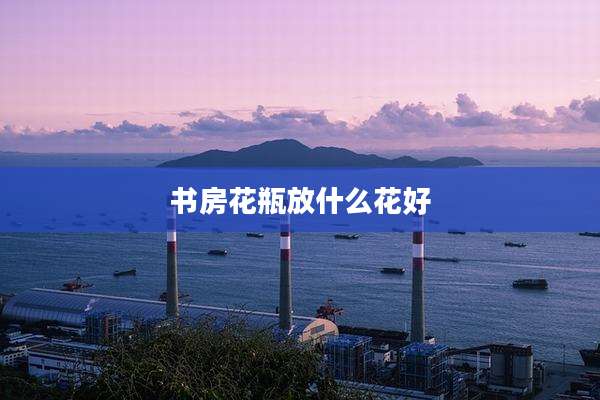 书房花瓶放什么花好