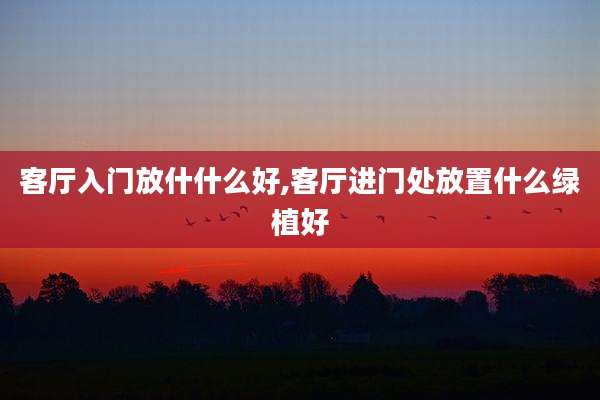 客厅入门放什什么好,客厅进门处放置什么绿植好