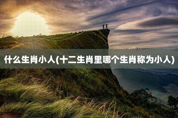 什么生肖小人(十二生肖里哪个生肖称为小人)