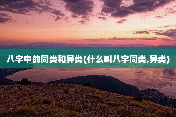 八字中的同类和异类(什么叫八字同类,异类)