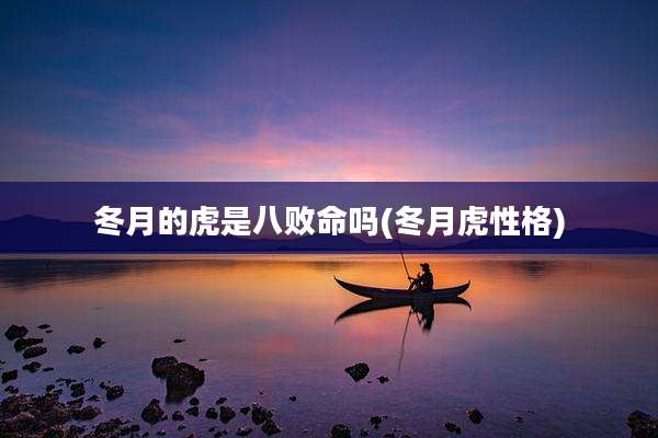 冬月的虎是八败命吗(冬月虎性格)