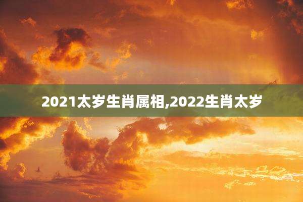 2021太岁生肖属相,2022生肖太岁
