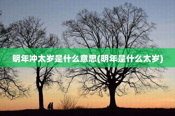 明年冲太岁是什么意思(明年是什么太岁)
