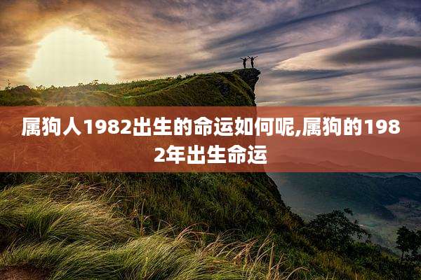 属狗人1982出生的命运如何呢,属狗的1982年出生命运