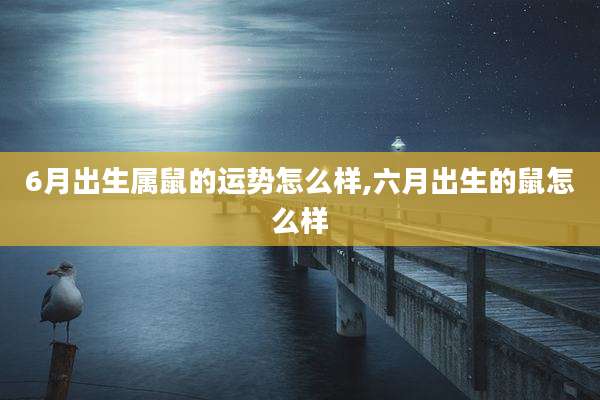 6月出生属鼠的运势怎么样,六月出生的鼠怎么样