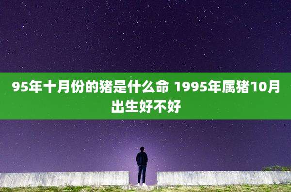 95年十月份的猪是什么命 1995年属猪10月出生好不好