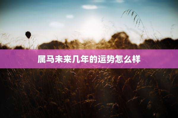 属马未来几年的运势怎么样