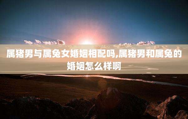 属猪男与属兔女婚姻相配吗,属猪男和属兔的婚姻怎么样啊
