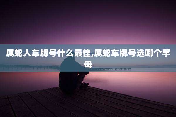 属蛇人车牌号什么最佳,属蛇车牌号选哪个字母