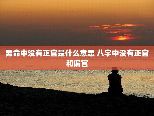 男命中没有正官是什么意思 八字中没有正官和偏官