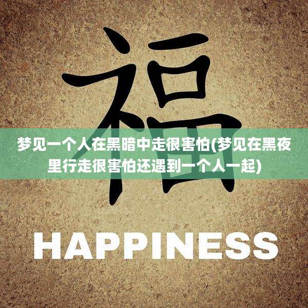 梦见一个人在黑暗中走很害怕(梦见在黑夜里行走很害怕还遇到一个人一起)