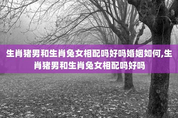 生肖猪男和生肖兔女相配吗好吗婚姻如何,生肖猪男和生肖兔女相配吗好吗