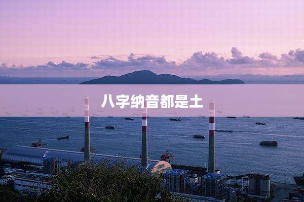 八字纳音都是土
