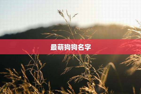 最萌狗狗名字