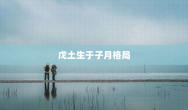 戊土生于子月格局