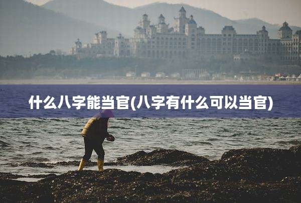 什么八字能当官(八字有什么可以当官)