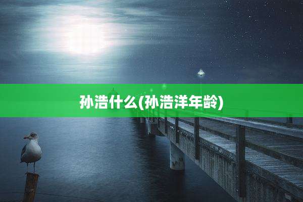 孙浩什么(孙浩洋年龄)