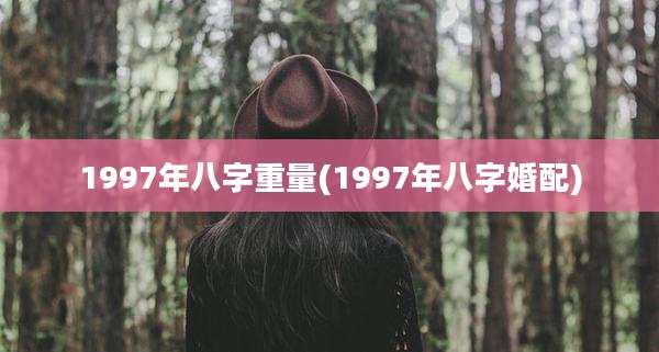 1997年八字重量(1997年八字婚配)
