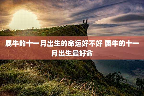 属牛的十一月出生的命运好不好 属牛的十一月出生最好命