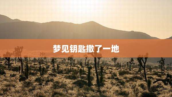 梦见钥匙撒了一地