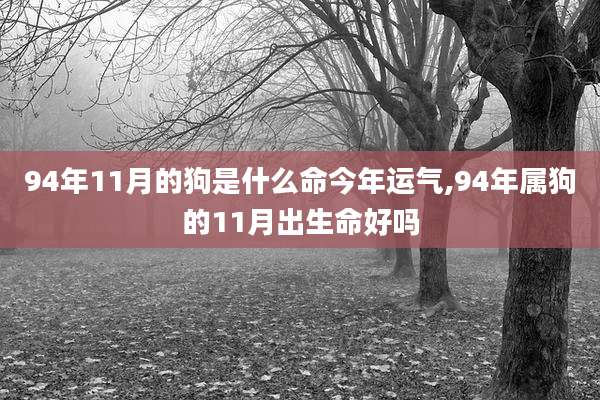 94年11月的狗是什么命今年运气,94年属狗的11月出生命好吗