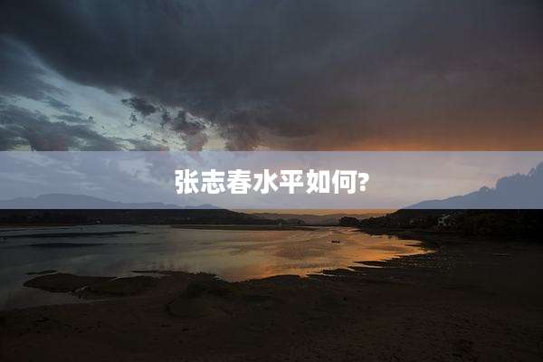 张志春水平如何?