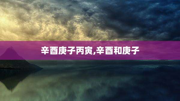 辛酉庚子丙寅,辛酉和庚子