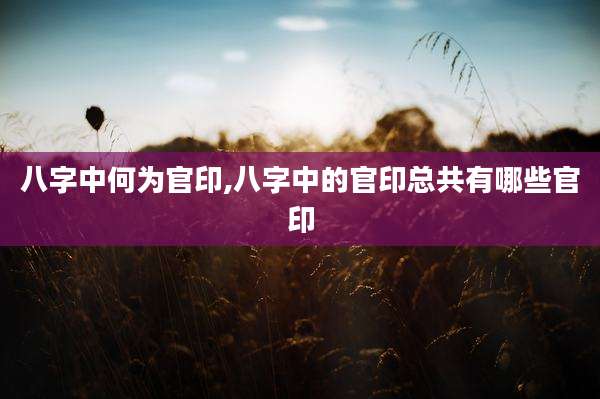 八字中何为官印,八字中的官印总共有哪些官印