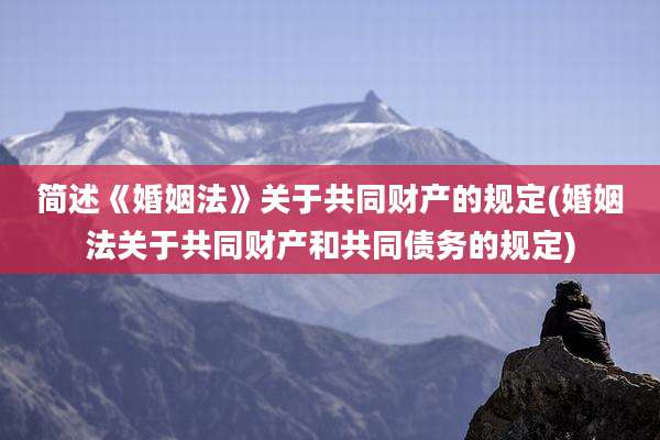 简述《婚姻法》关于共同财产的规定(婚姻法关于共同财产和共同债务的规定)