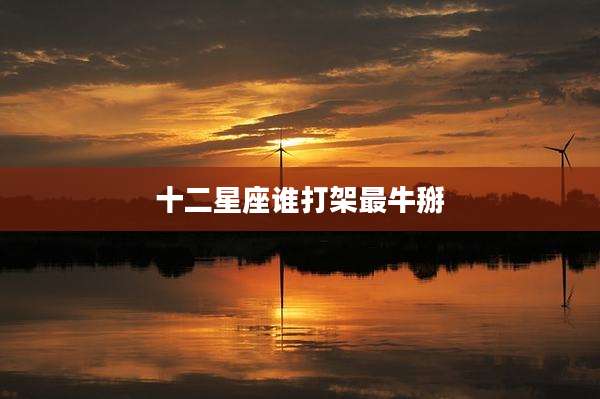十二星座谁打架最牛掰