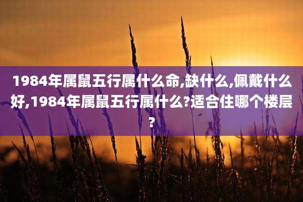 1984年属鼠五行属什么命,缺什么,佩戴什么好,1984年属鼠五行属什么?适合住哪个楼层?