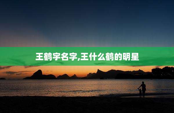 王鹤宇名字,王什么鹤的明星
