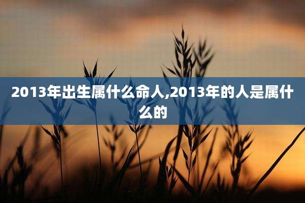 2013年出生属什么命人,2013年的人是属什么的