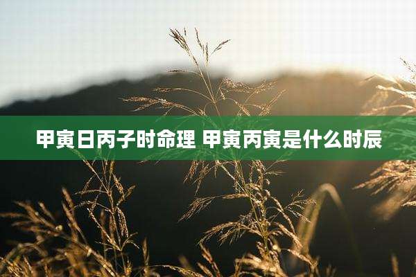 甲寅日丙子时命理 甲寅丙寅是什么时辰