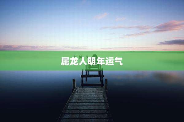 属龙人明年运气